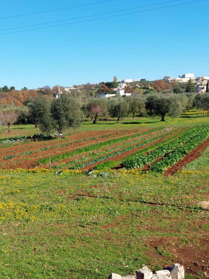 Masseria Soluco Монополи Экстерьер фото